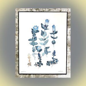 “Gontiana” Richard W “Toby” Tyler Signed Vintage Botanical Print